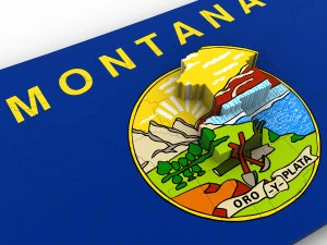 Montana political map 3D Model