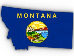 Montana political map 3D Model