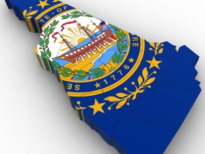 New hampshire political map 3Dモデル