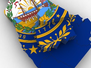 New hampshire political map 3Dモデル