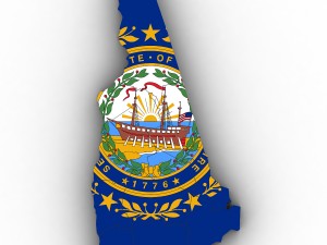 New hampshire political map 3Dモデル