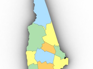 New hampshire political map 3Dモデル