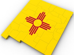 New mexico political map 3D Модель
