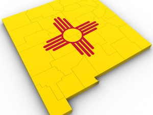 New mexico political map Model 3D