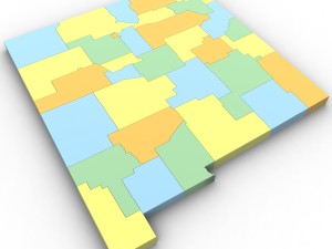 New mexico political map Model 3D