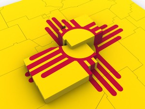 New mexico political map Model 3D