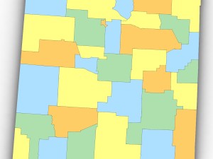 New mexico political map Model 3D