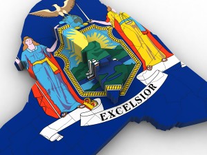 New york political map 3Dモデル