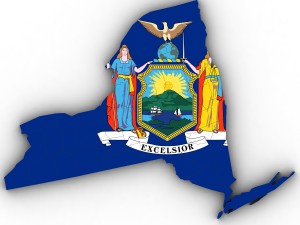 New york political map 3Dモデル