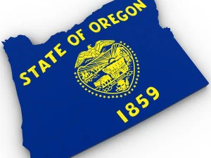 Oregon political map 3D Model