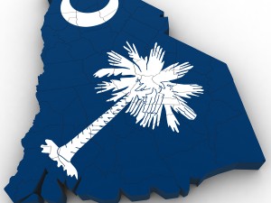 South carolina political map 3D Model