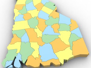 South carolina political map 3D Модель