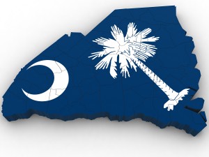 South carolina political map 3D Модель