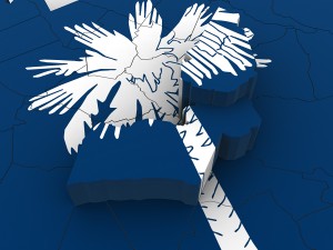South carolina political map 3D Модель