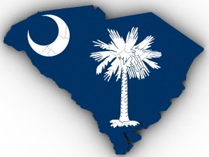South carolina political map 3D Модель