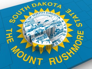South dakota political map Modello 3D