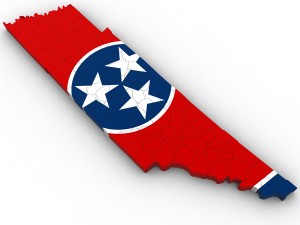 Tennessee political map 3D Model