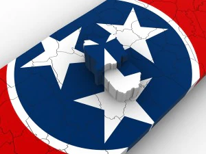 Tennessee political map 3D Model
