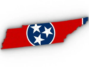 Tennessee political map 3D Model