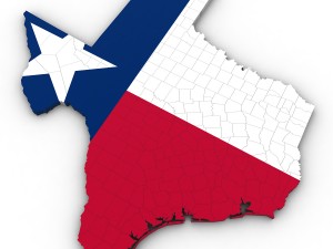 Texas political map 3D 모델