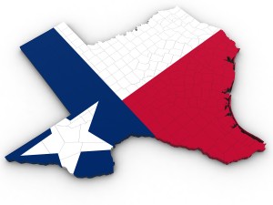 Texas political map Modèle 3D