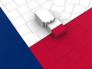 Texas political map 3D Model