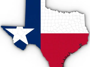 Texas political map 3D Model