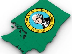 Washington political map 3D Model