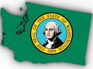 Washington political map 3D Model