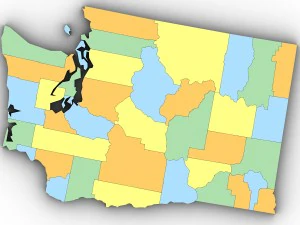 Washington political map 3D Model