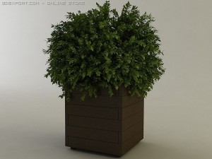 planter box 3D Model