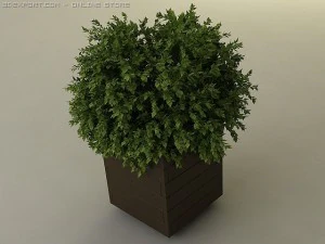 Pflanzkasten 3D Modell