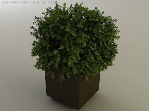 planter box 3D Model