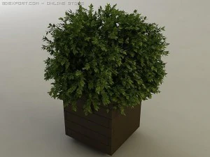 Pflanzkasten 3D Modell