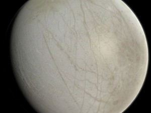 europa 3D Model
