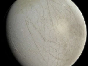 europa 3D Model