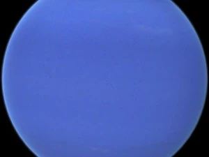 Нептун 3D Модель