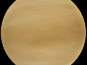 venus 3D Model