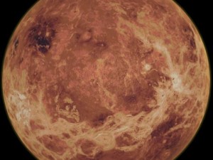 venus 3D Model
