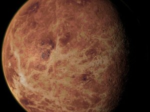 venus 3D Model