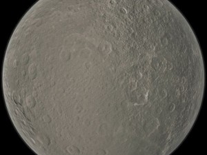 rhea 3D Model