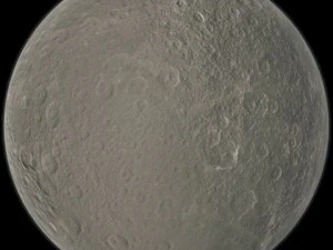 Рея 3D Модель