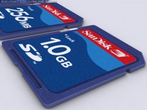 secure digital card Modelo 3D