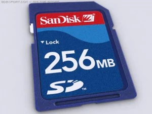 sichere digitale Karte 3D Modell