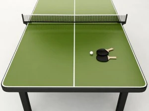 ping pong table 3D Model