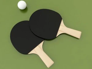 ping pong table 3D Model