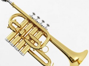piccolo trumpet 3D Model