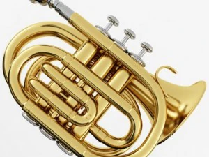 trompete de bolso Modelo 3D