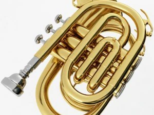 pocket trumpet 3D Model