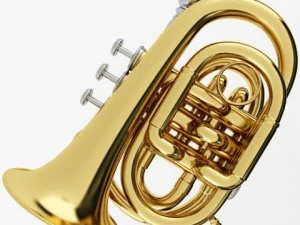 pocket trumpet 3D Model